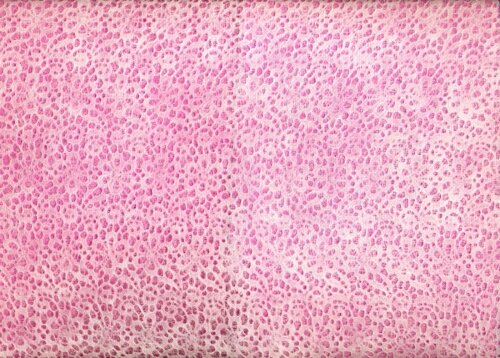 Кружевная бумага для рукоделия Renkalik "Мелкие цветочки", 55x80см Тончайшая белая бумага как кружева. Производство Италия.