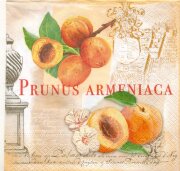 Салфетка для декупажа - Армянские абрикосы